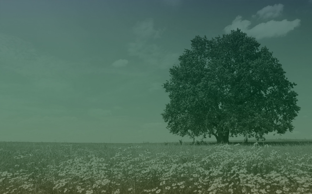 Ashworth Financial